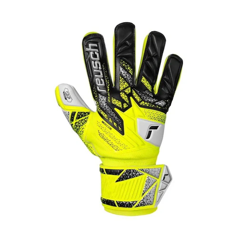 xlarge-clean_87e22a6fbda3806c.webp