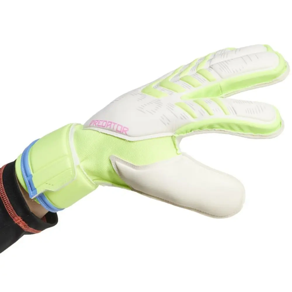 xlarge-clean_8abe3347cf0e3a61.webp