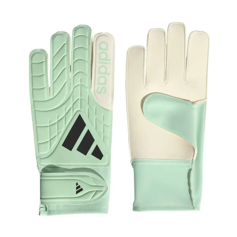 xlarge-clean_8b6d0d8565f9312e.webp