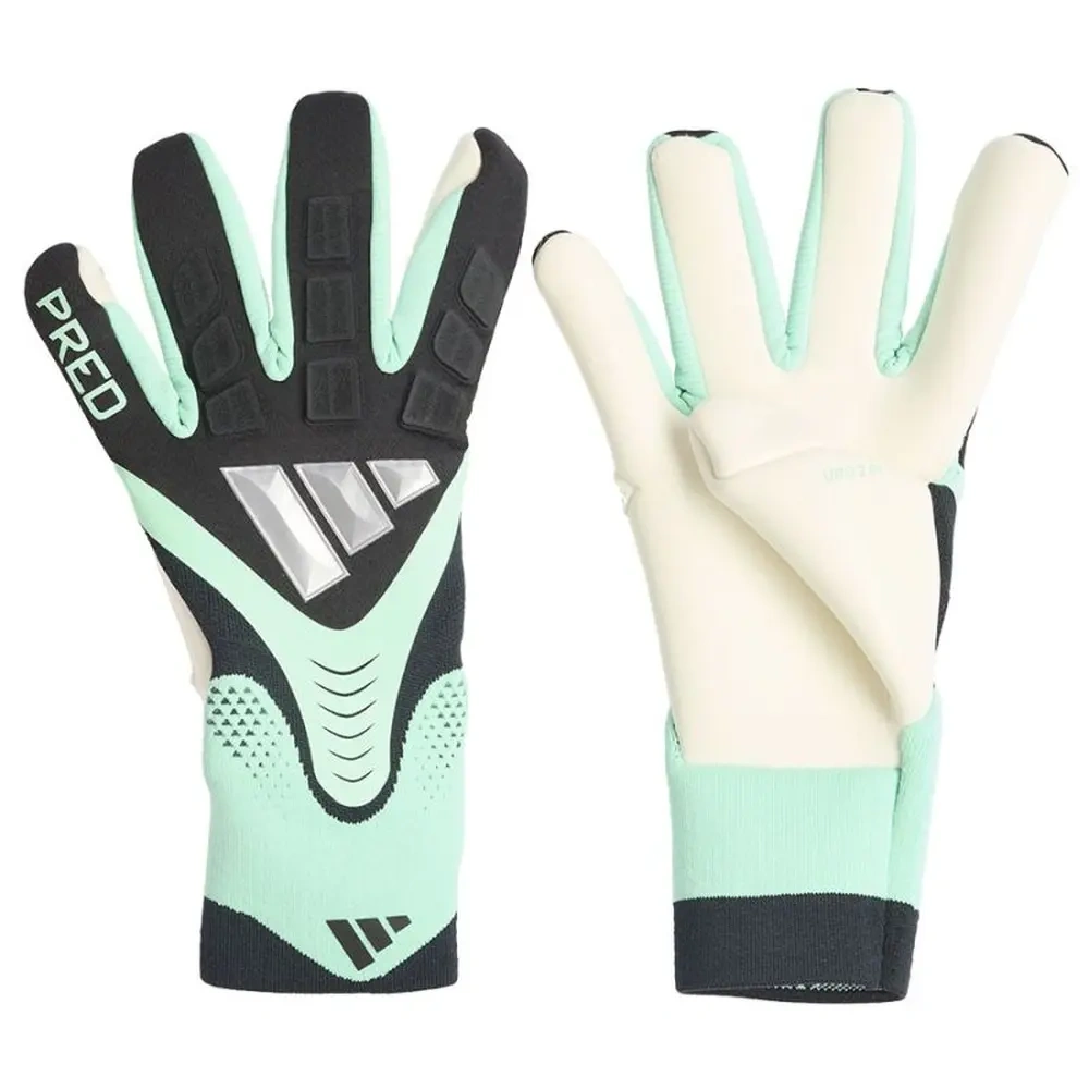 xlarge-clean_8d2527dbc1e13e06.webp