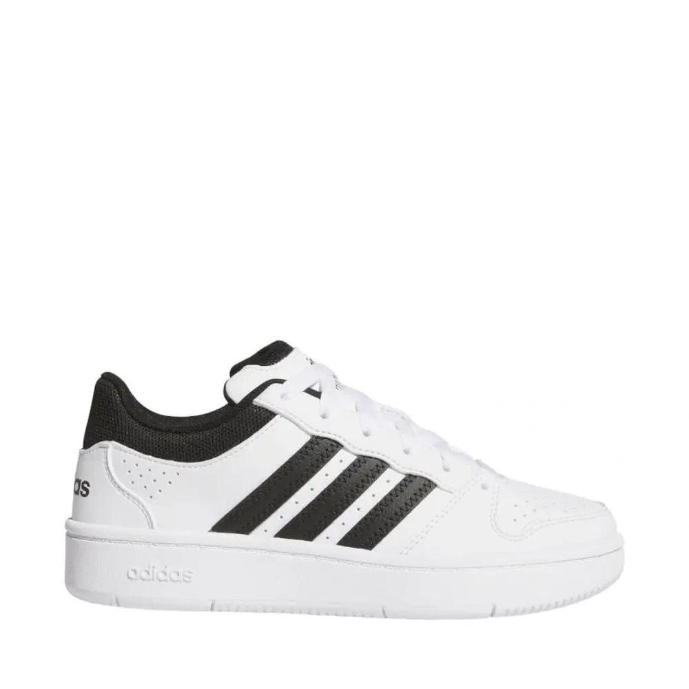 xlarge-clean_8d6c3eb78aeb2e2c.webp