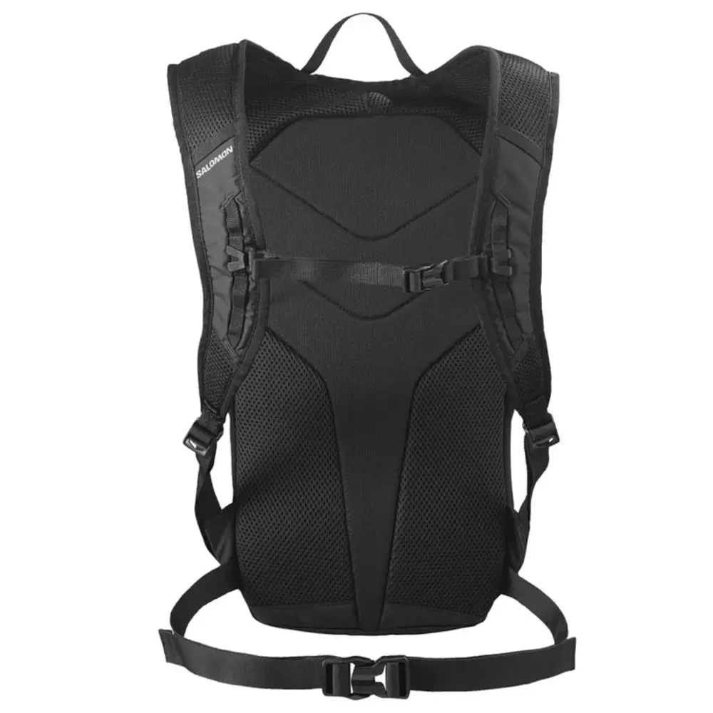 xlarge-clean_8d74d2c4346dcee1.webp