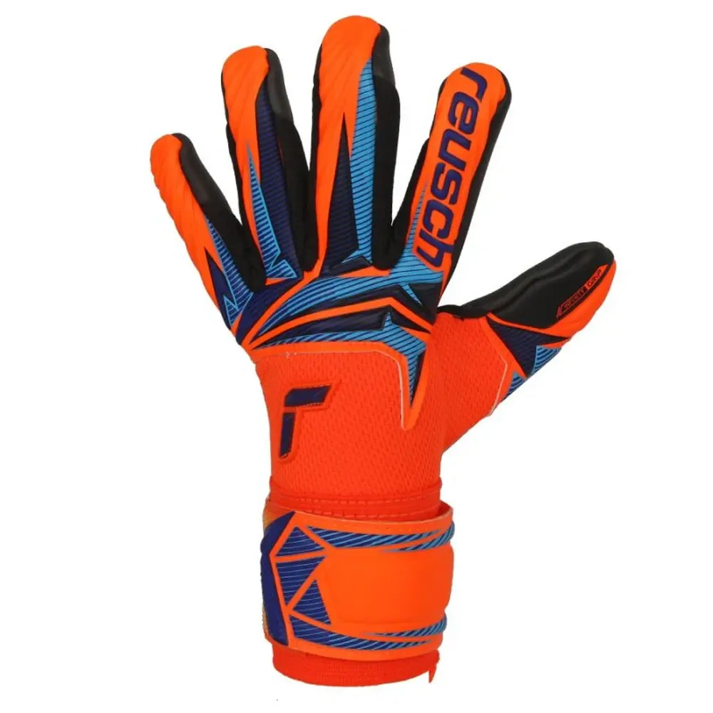 xlarge-clean_8d7ae43e3227d68f.webp