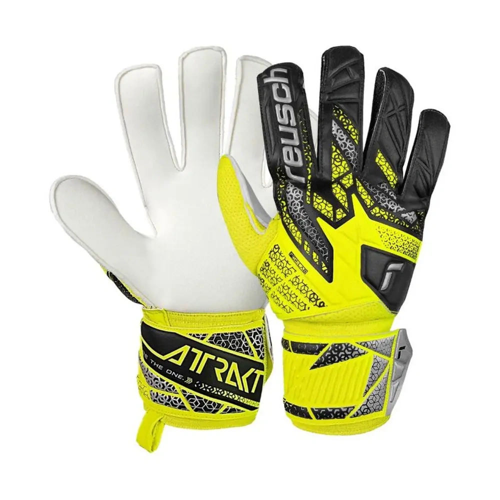 xlarge-clean_8e7ffd3d3e57f175.webp