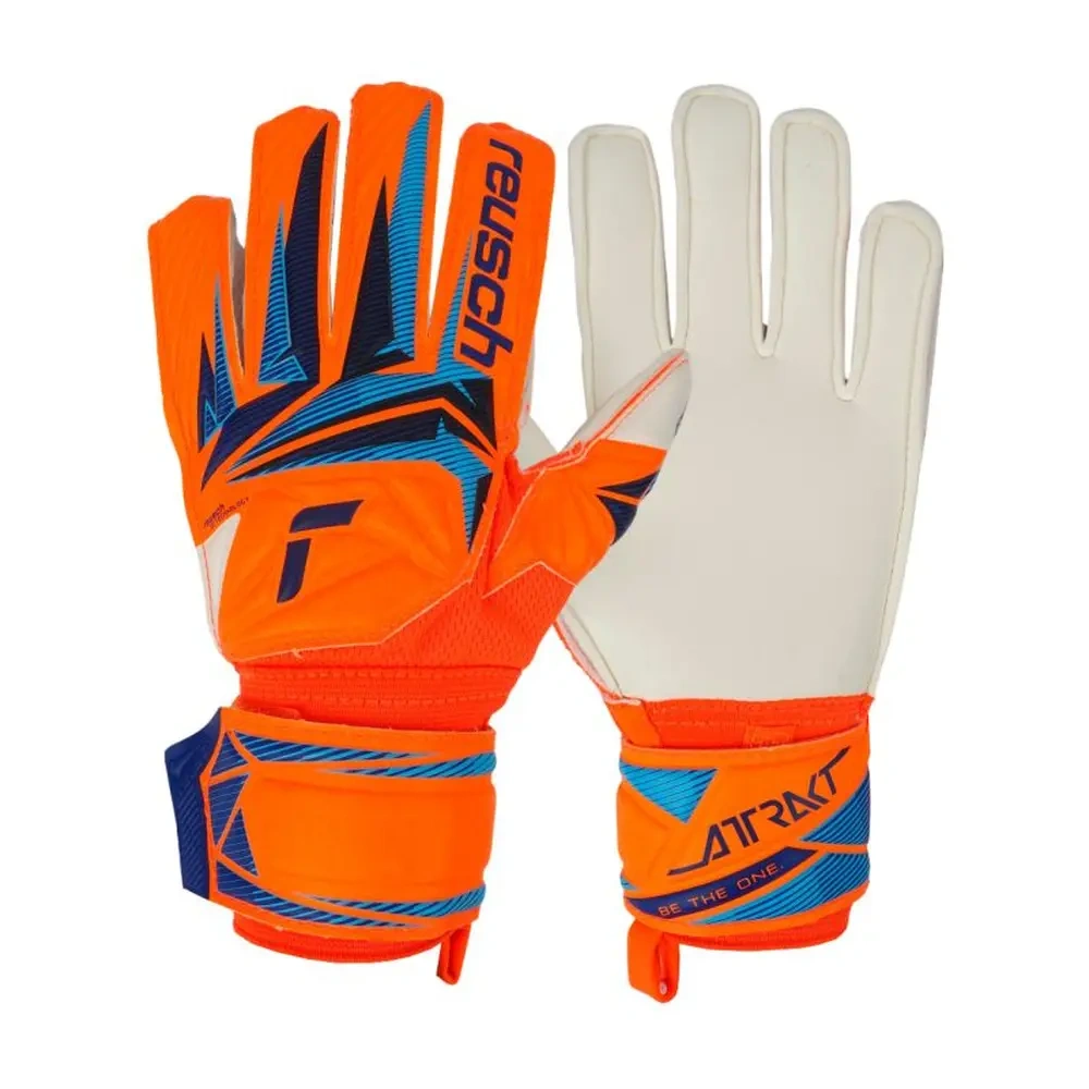 xlarge-clean_9353fb6acaa4c4c8.webp