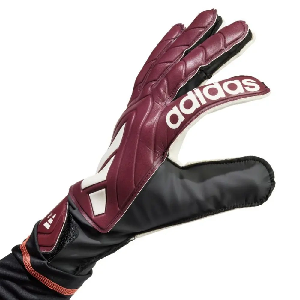 xlarge-clean_97853660981f7f4d.webp