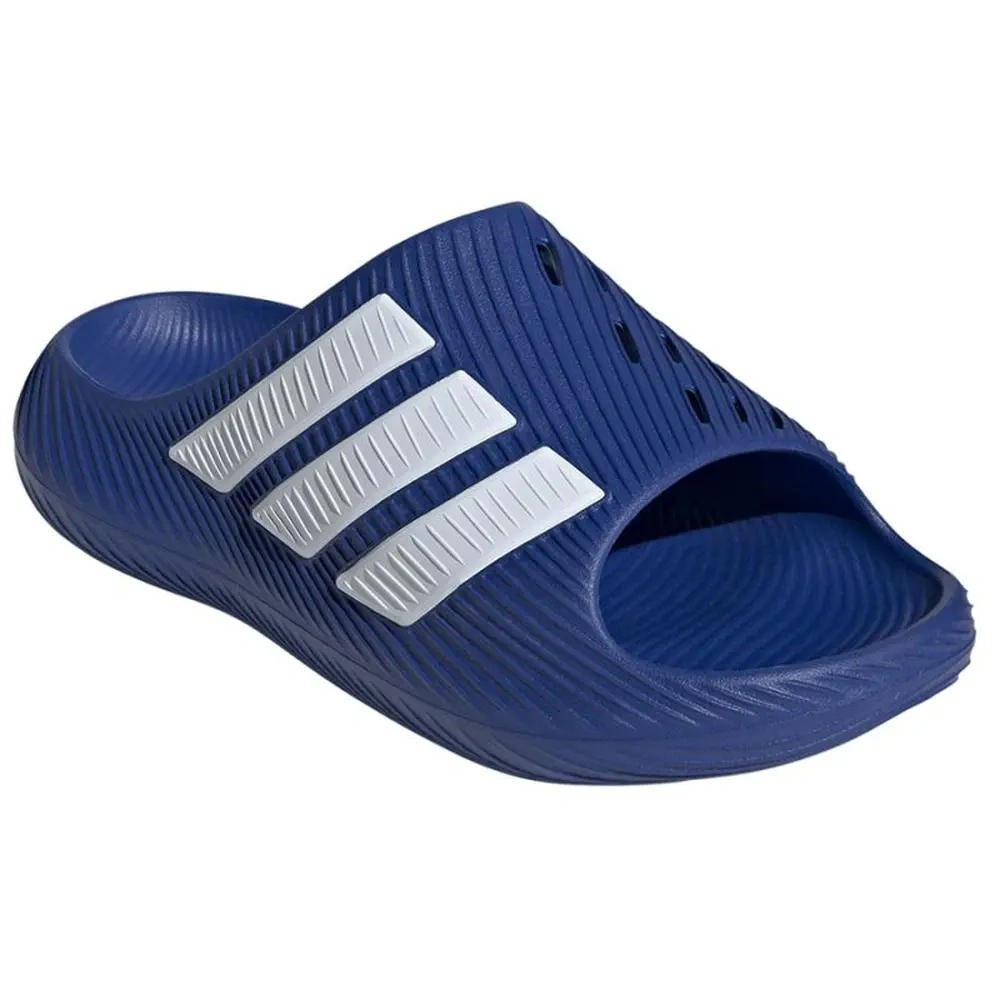 xlarge-clean_9bc5211d266679c3.webp