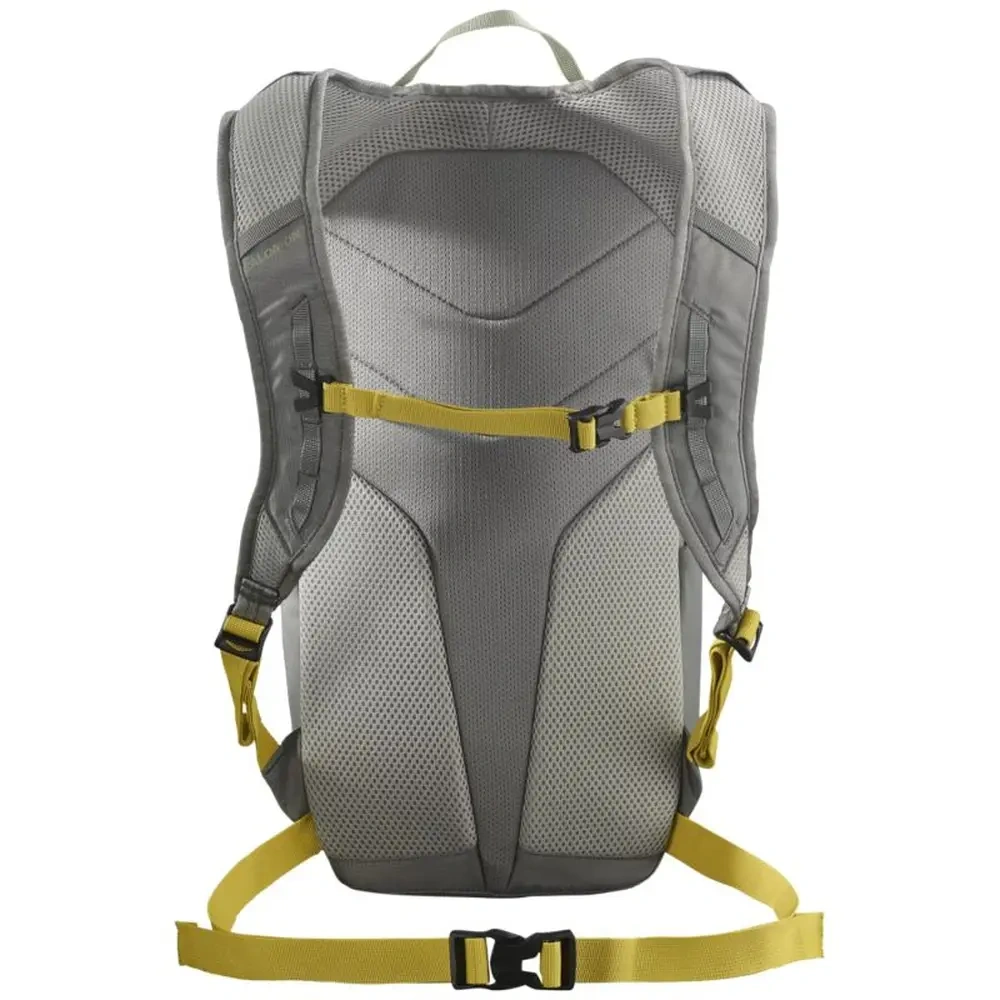 xlarge-clean_9d8d3bfa27906547.webp