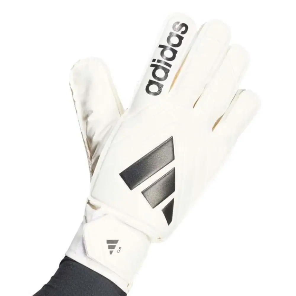 xlarge-clean_a056159aa0bf95bc.webp
