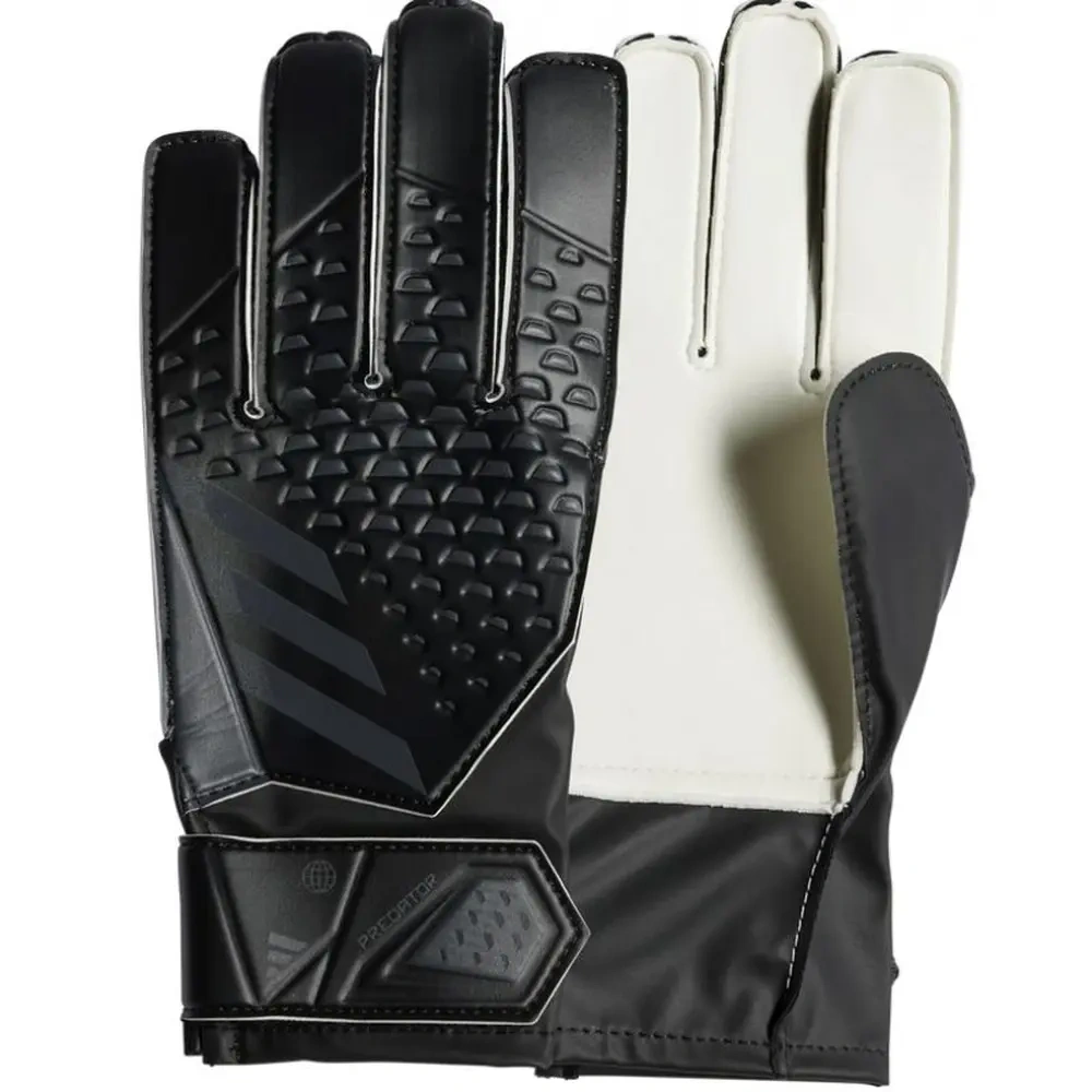 xlarge-clean_a1d66db0982f8d94.webp