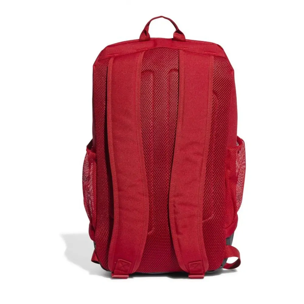 xlarge-clean_aaf1c6eea2fe877a.webp