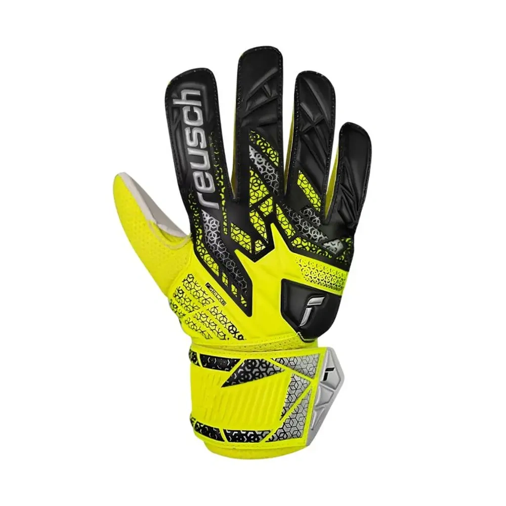 xlarge-clean_ada411d1724da7d3.webp