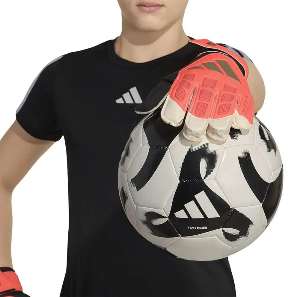 xlarge-clean_b188b84c1f0ac913.webp