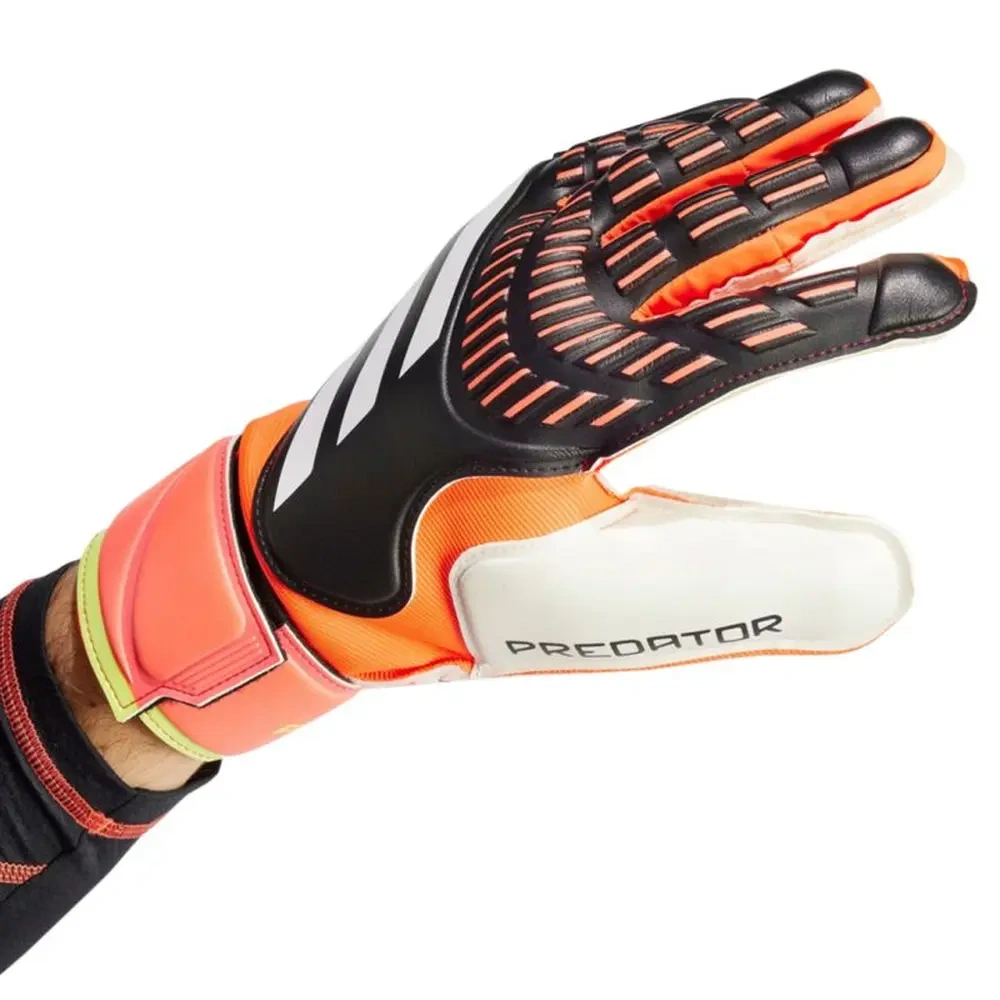 xlarge-clean_b2597cdcfe6bf580.webp