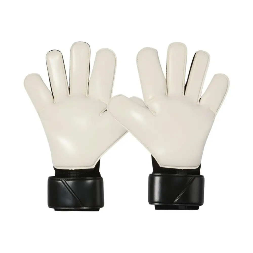 xlarge-clean_b30306d76f3d535e.webp