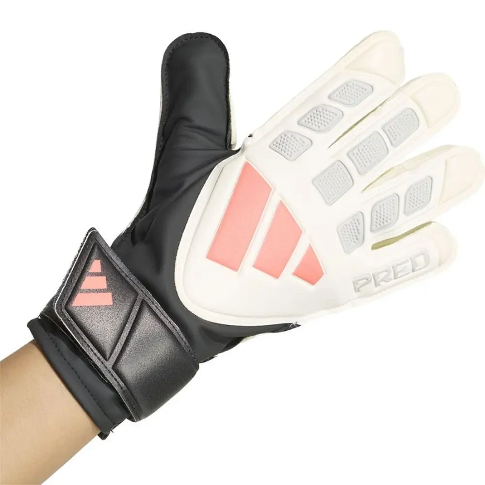 xlarge-clean_b3733b26a84b99ae.webp
