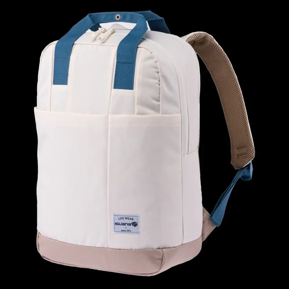 xlarge-clean_b375f09a99283150.webp