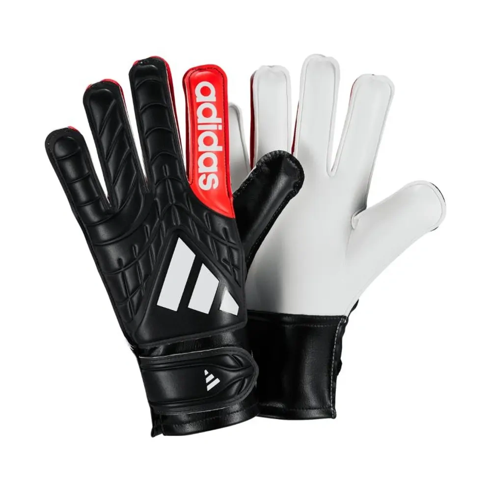xlarge-clean_b39328e65c81deb3.webp