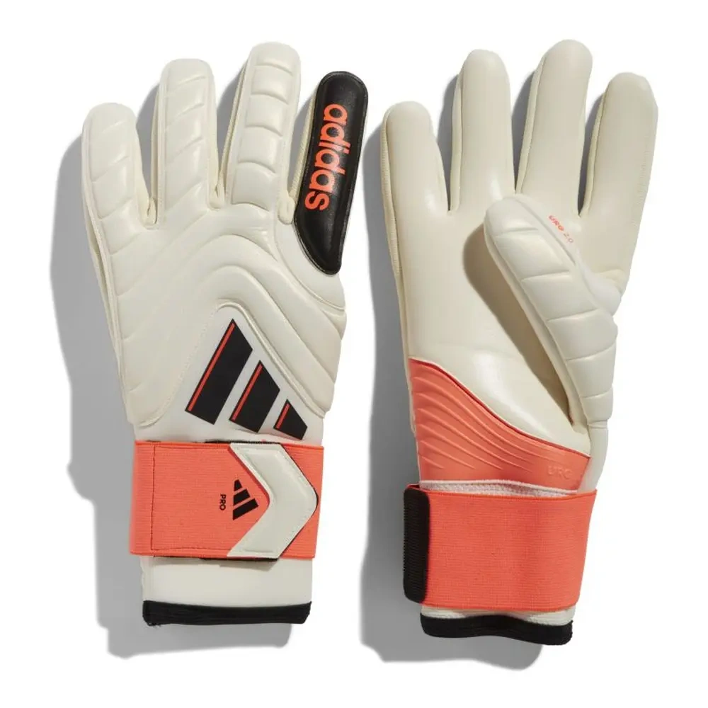 xlarge-clean_b6aa934c2762638e.webp