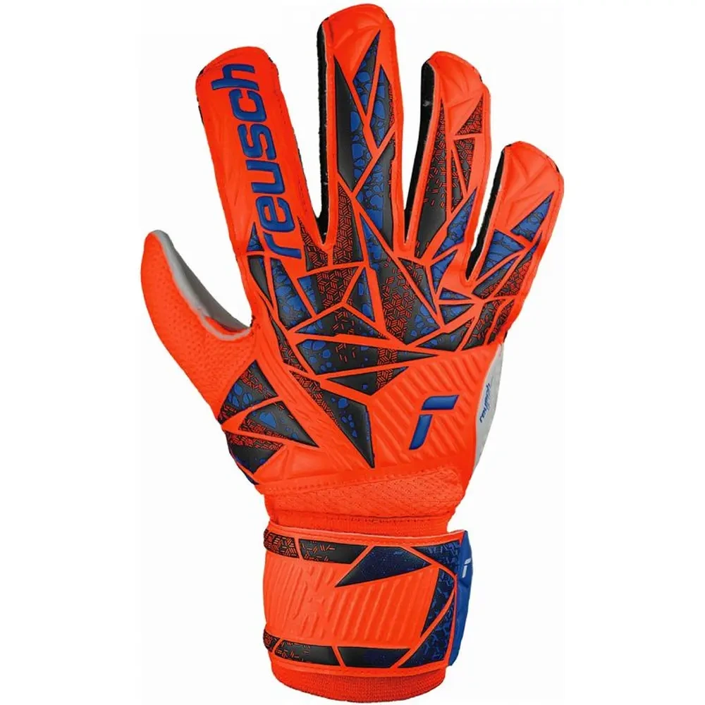 xlarge-clean_bb53fdf1cefeb5db.webp