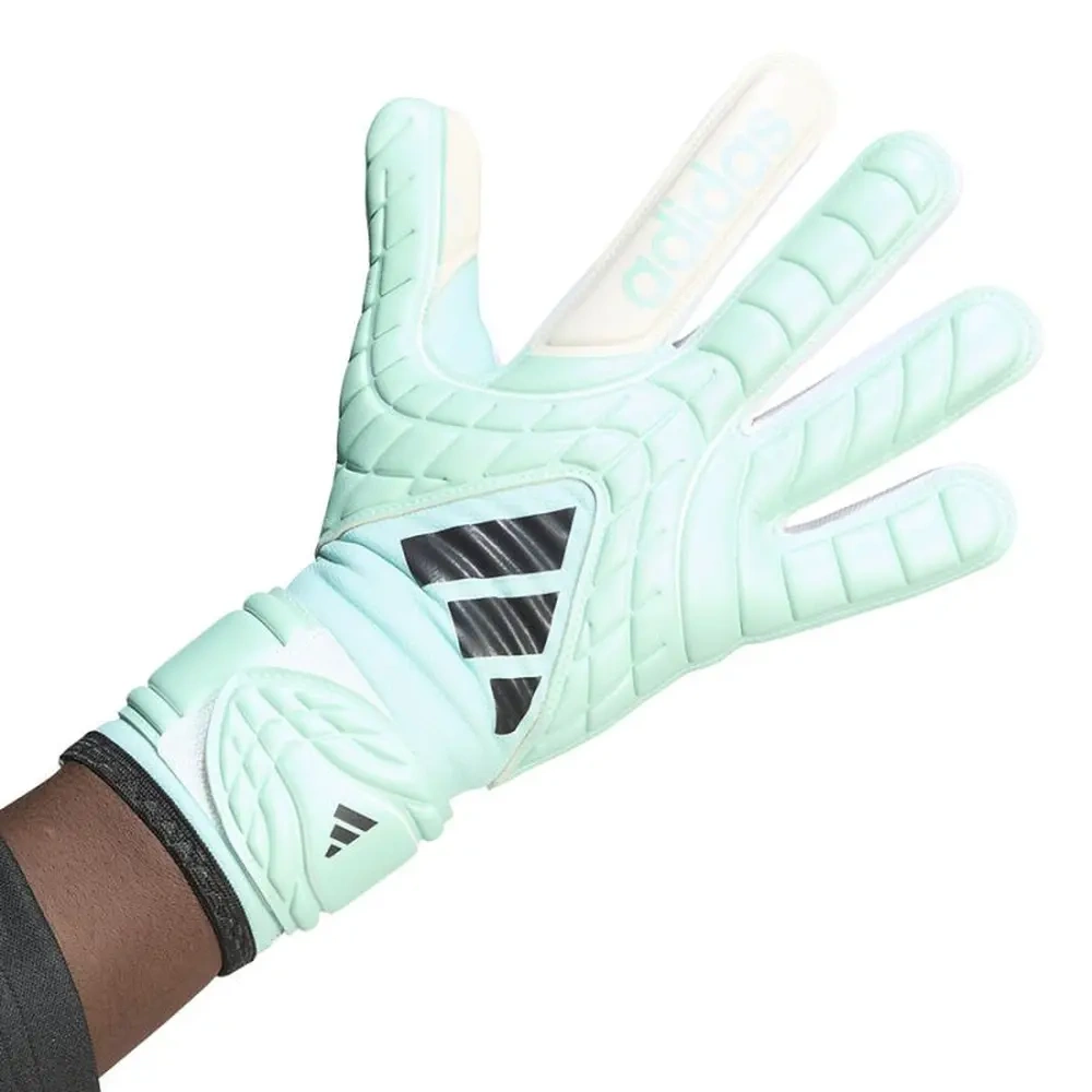xlarge-clean_bcde0f799accabbd.webp