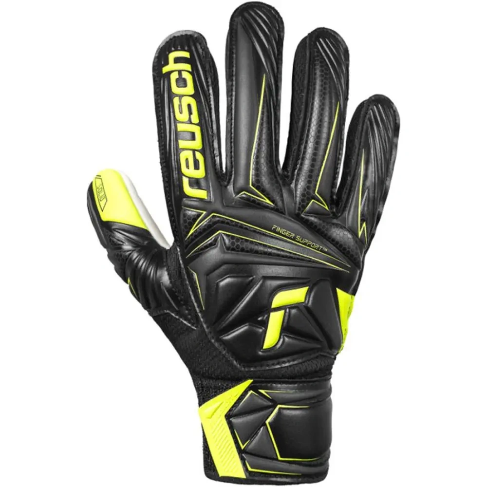 xlarge-clean_c2557a5ab5d37c55.webp