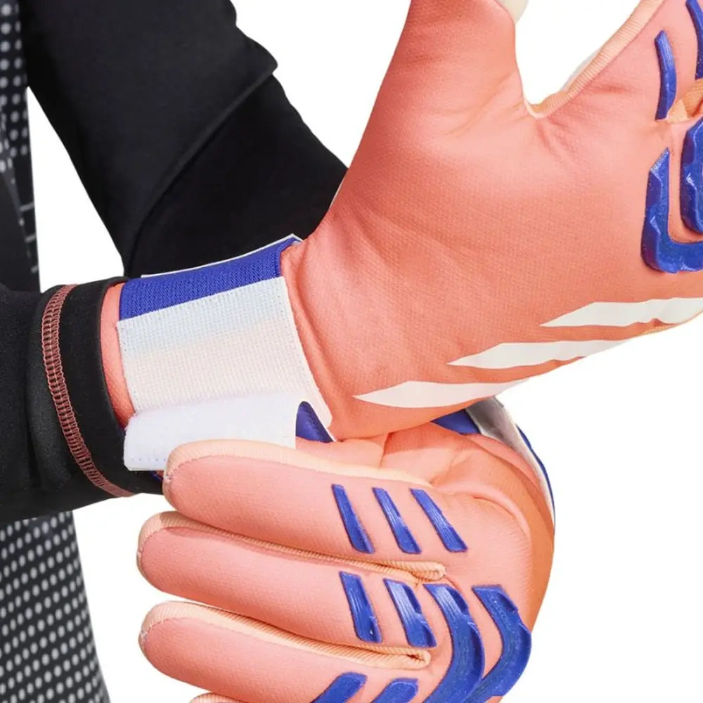 xlarge-clean_c368832cf11bec53.webp