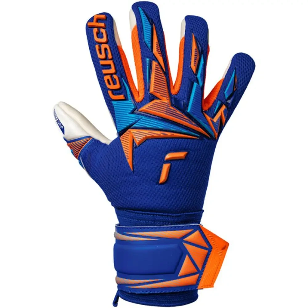 xlarge-clean_c6087bdd0e3073a0.webp