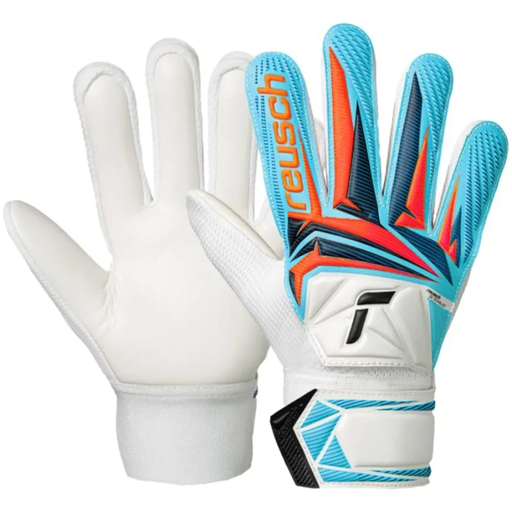 xlarge-clean_c88fc190e180f6b1.webp