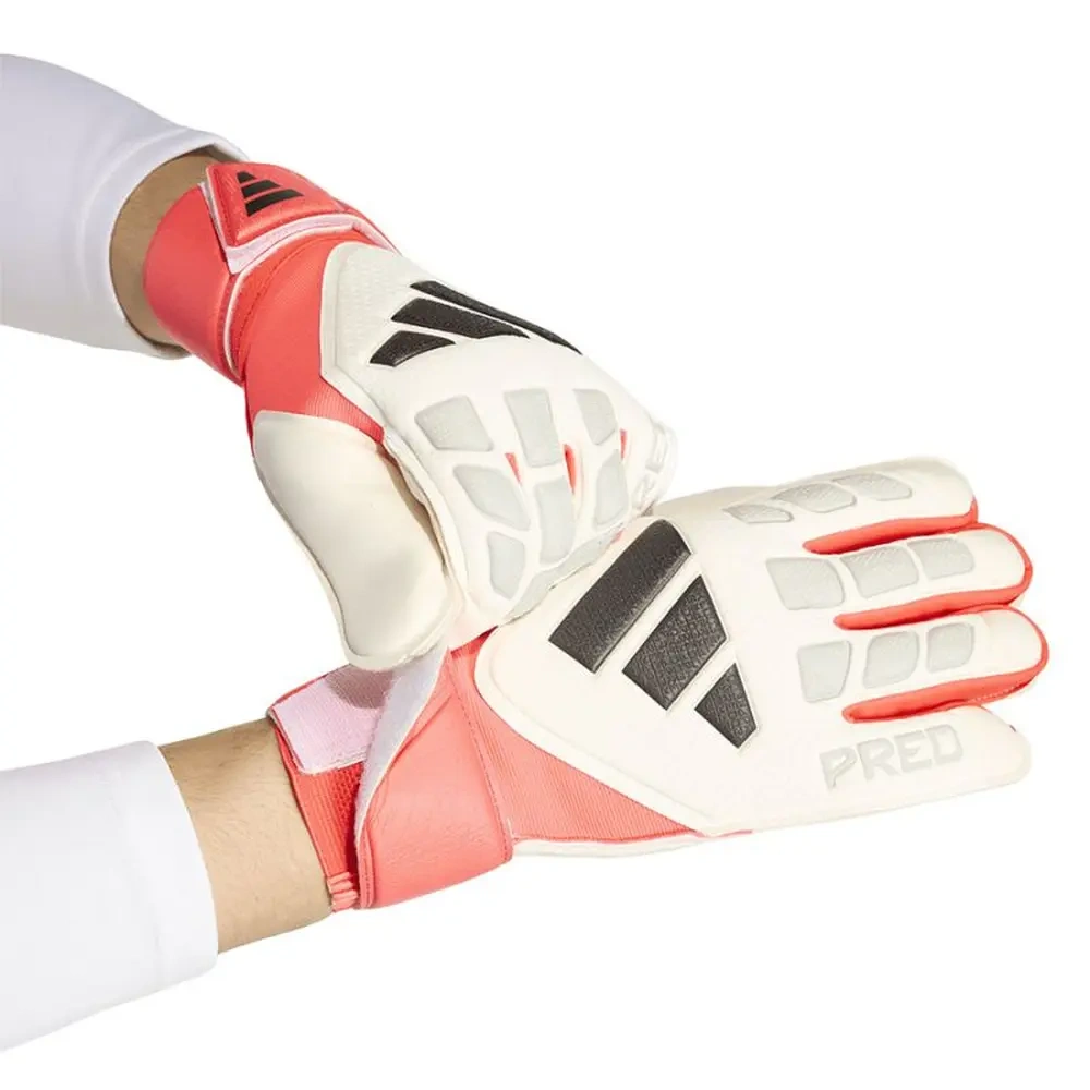 xlarge-clean_ca2533b454b597a8.webp