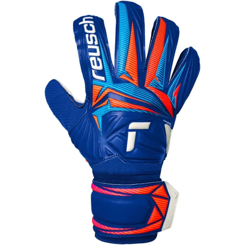 xlarge-clean_d1caa153dd232996.webp