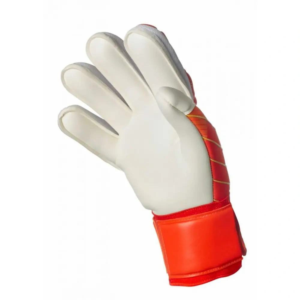 xlarge-clean_d28813ab76bf7c44.webp