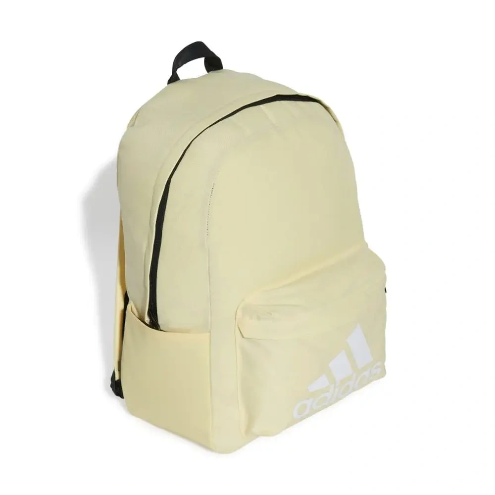 xlarge-clean_d6d20abe199e5f56.webp
