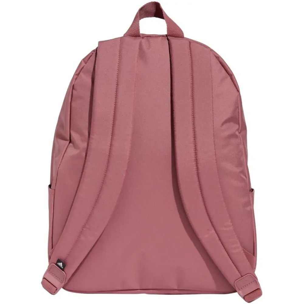 xlarge-clean_d76e70c99ce0ccf5.webp