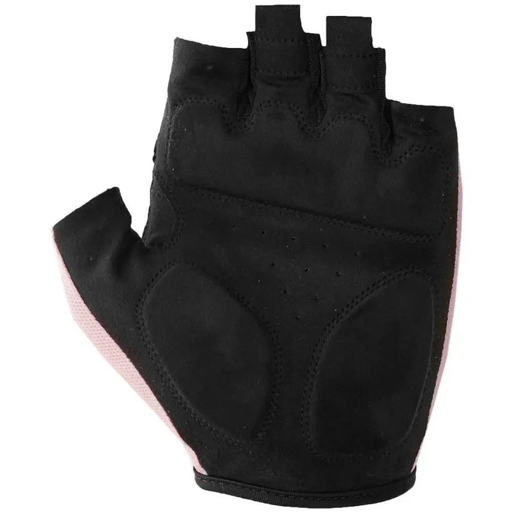 xlarge-clean_d7cab6dca60a3b6c.webp