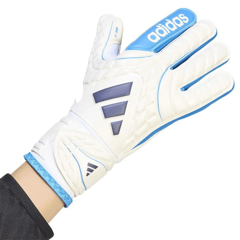 xlarge-clean_dbebf7192bf48759.webp