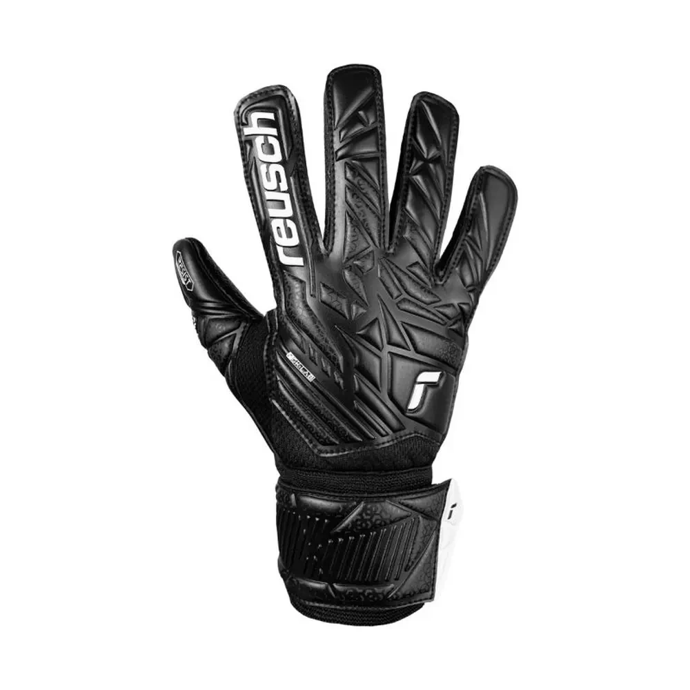 xlarge-clean_e029df620f2e86f1.webp