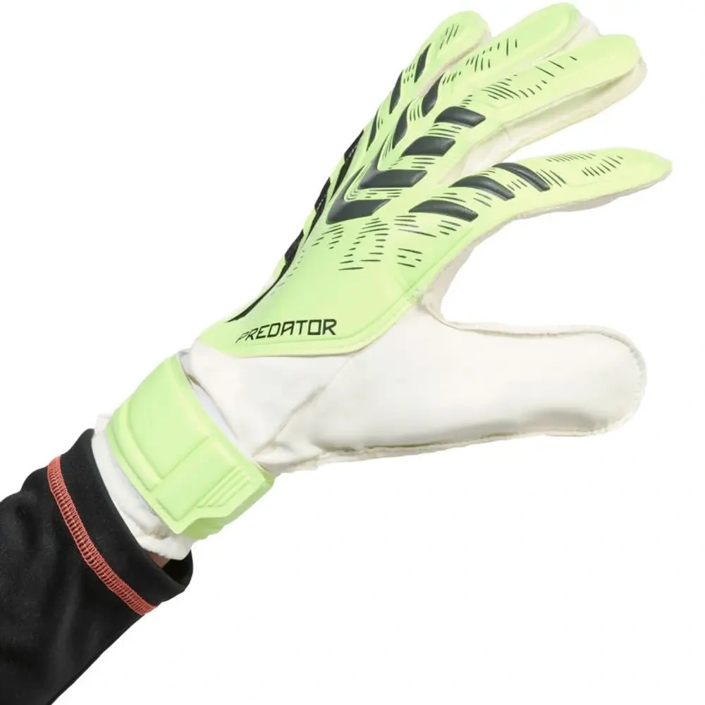 xlarge-clean_e0f5131d99e9e570.webp