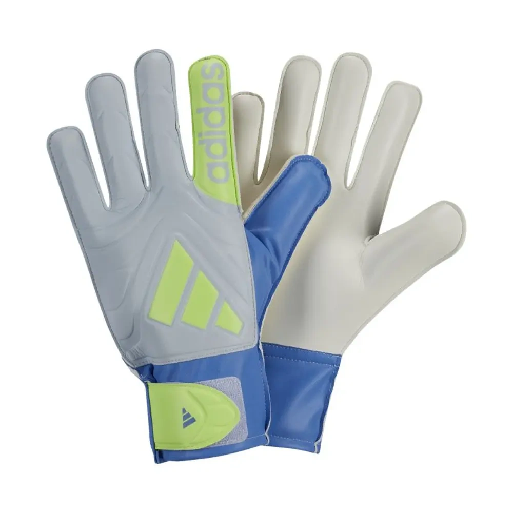 xlarge-clean_e1ada24881806e48.webp