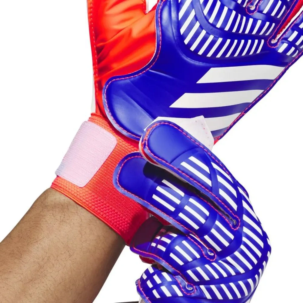 xlarge-clean_e22805eb141d0634.webp