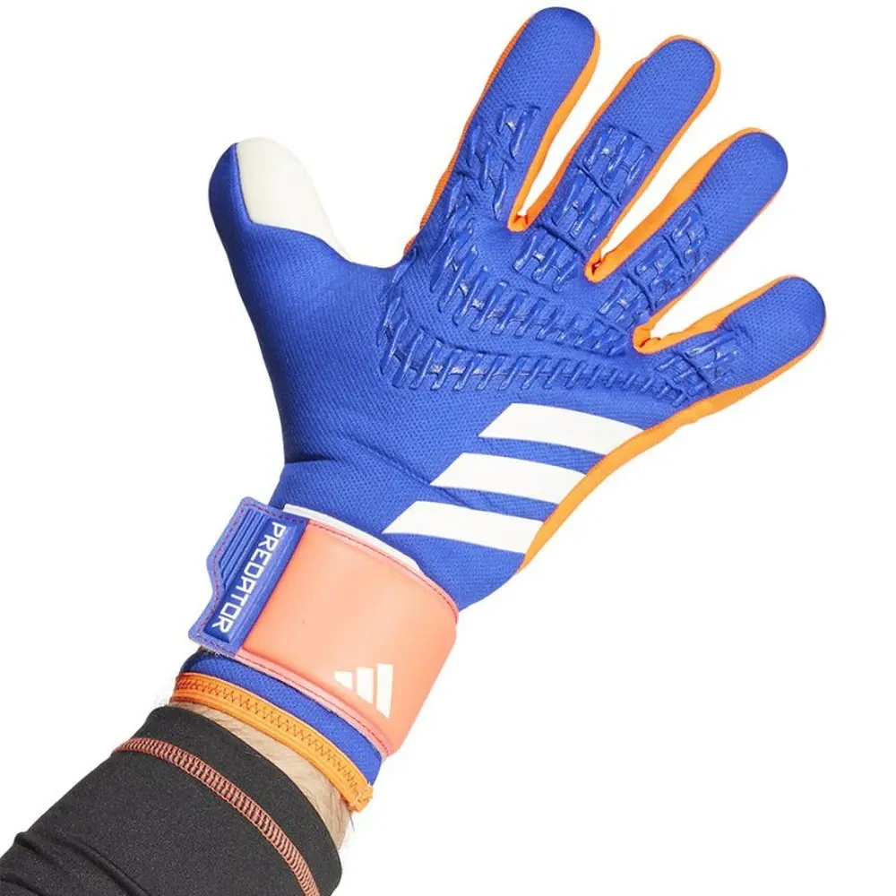 xlarge-clean_e66e892319383ff0.webp