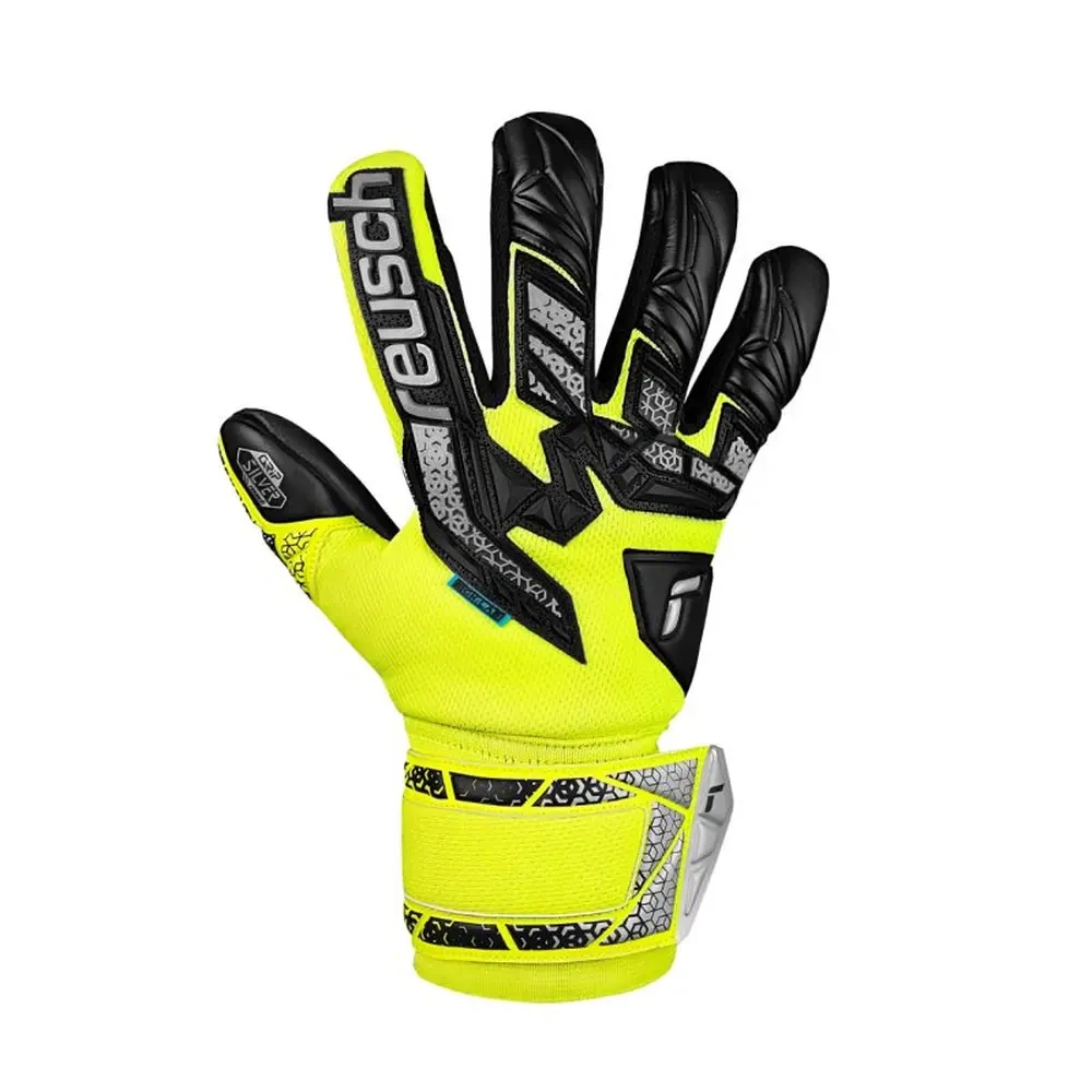xlarge-clean_eaac10f8de6b5008.webp