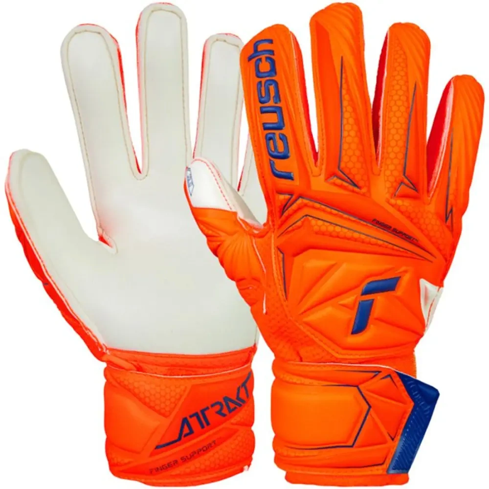 xlarge-clean_eb1535aab58cb7b2.webp