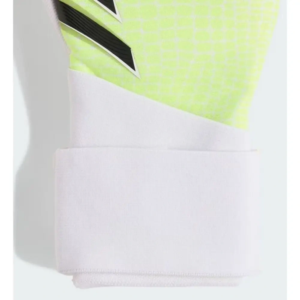 xlarge-clean_ec50a81ade2ace8d.webp