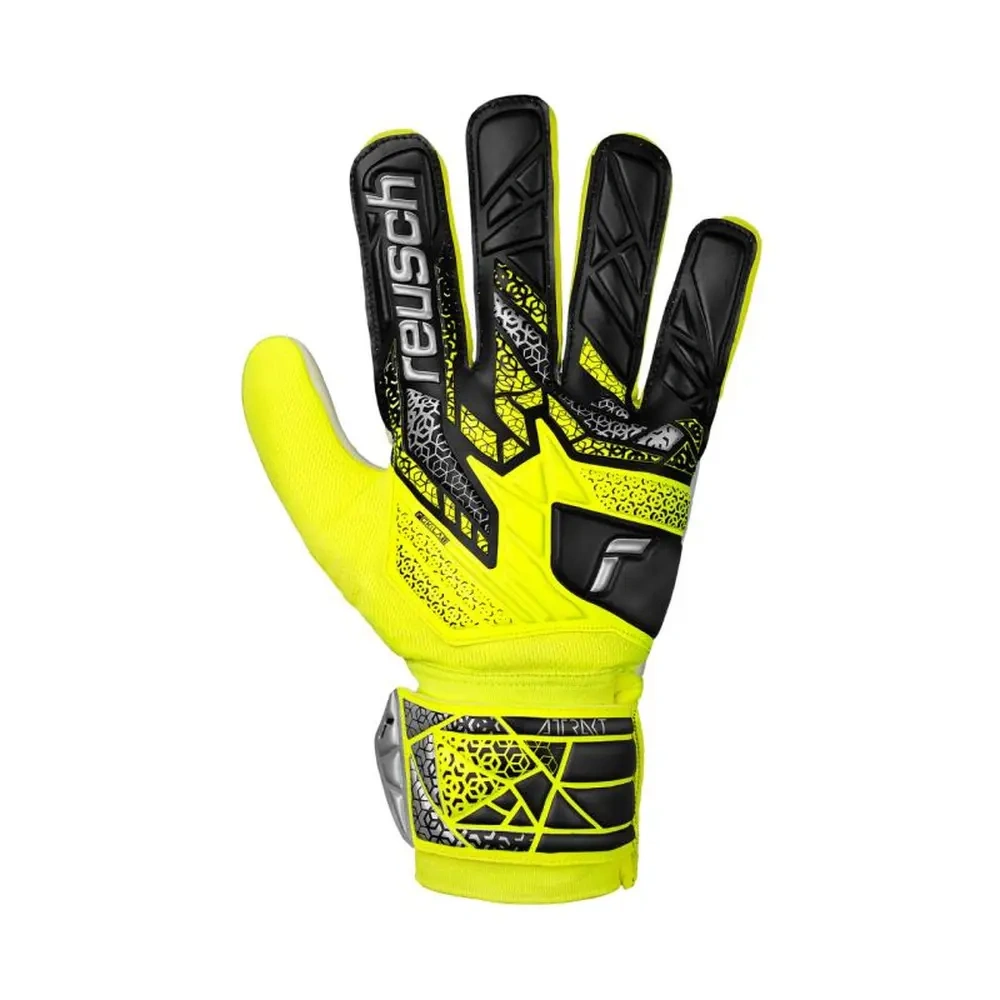 xlarge-clean_f418b4c819253aab.webp