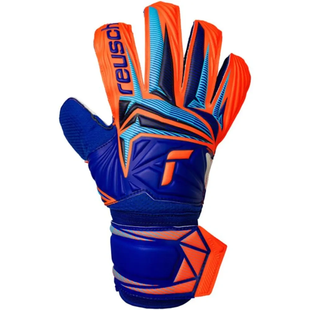 xlarge-clean_f76435ce426acd89.webp