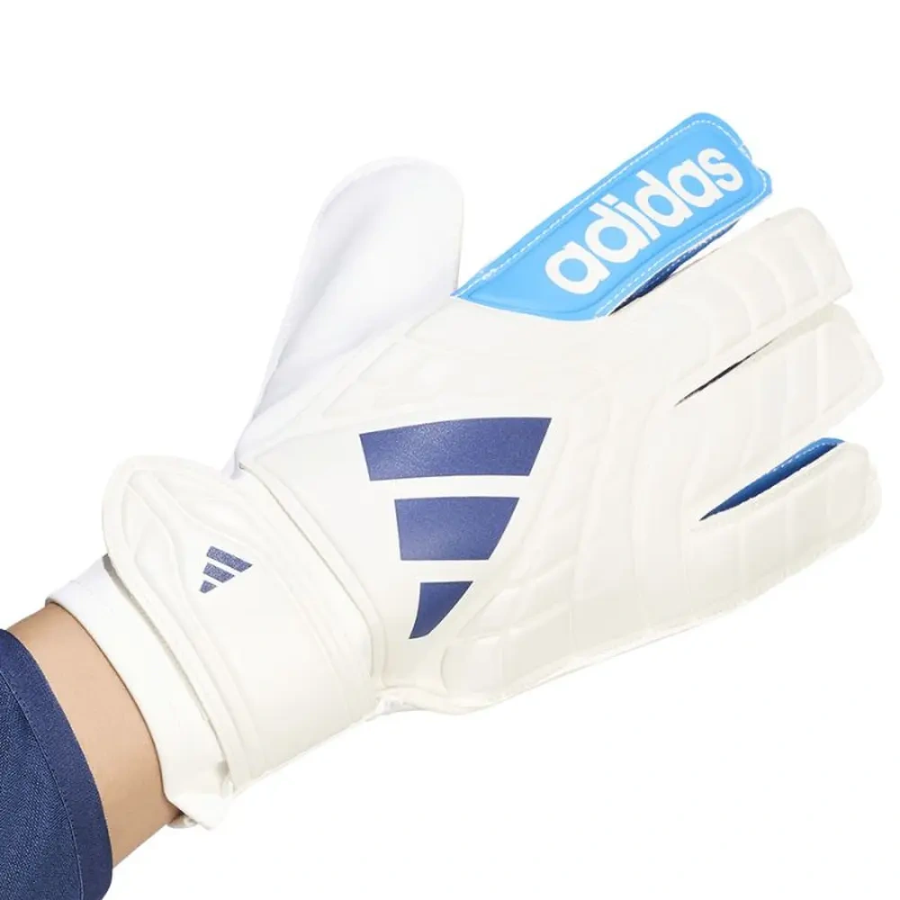 xlarge-clean_f803dbceb4cab7d1.webp