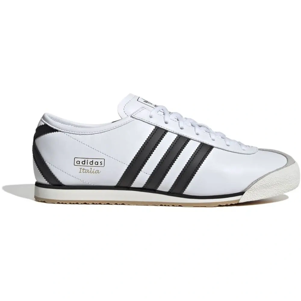xlarge-clean_f9dead7787998d50.webp
