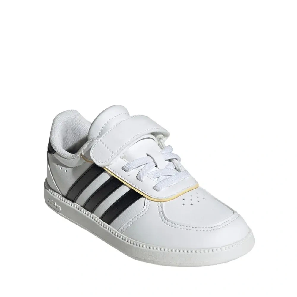 xlarge-clean_fd04949744f9cb6e.webp
