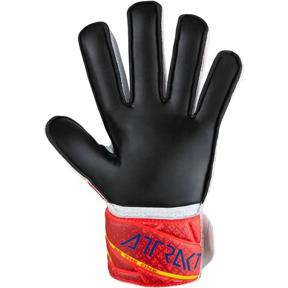 xlarge-clean_fdfcb176e7a34224.webp